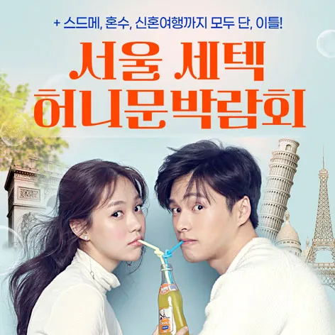 서울 세텍 허니문박람회 행사 이미지